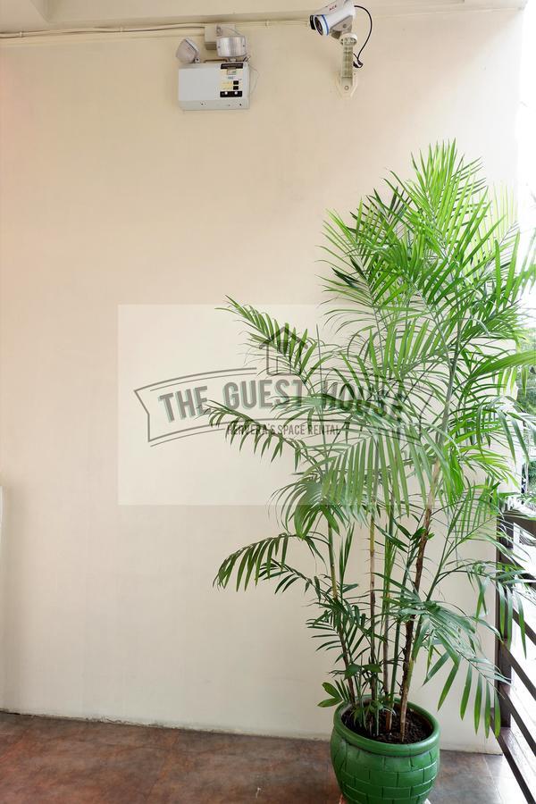 The Guest House لوسينا المظهر الخارجي الصورة